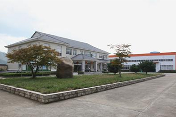 Diversified solution cases